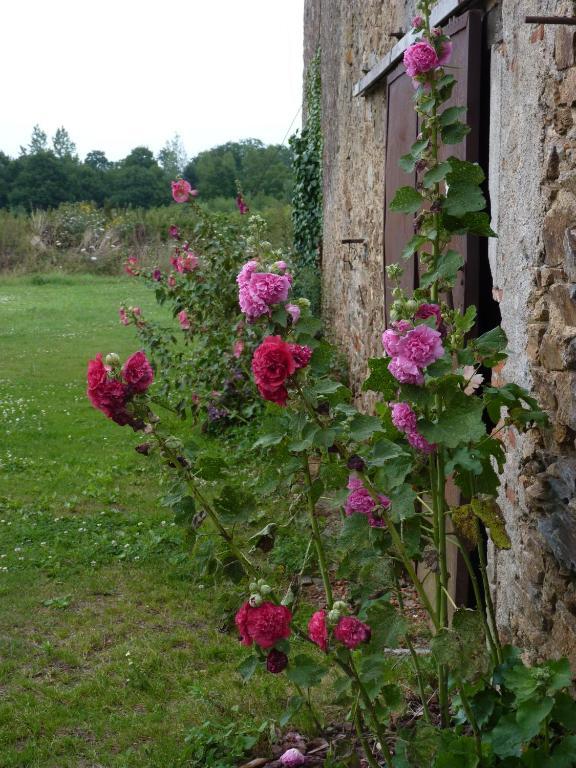 Chambres D'Hotes Le Chateau Rouge Saint-Germain-sur-Moine 외부 사진